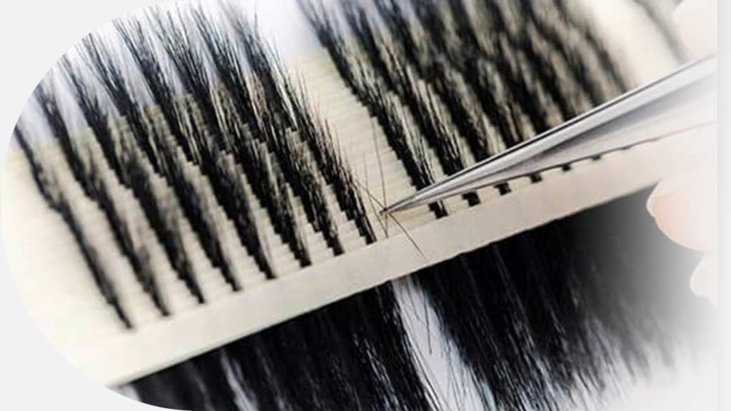 eyelash wholesalers